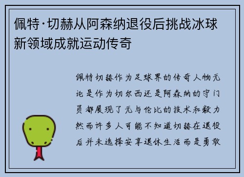 佩特·切赫从阿森纳退役后挑战冰球新领域成就运动传奇